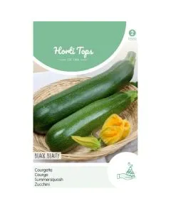 HT Courgette Black Beauty