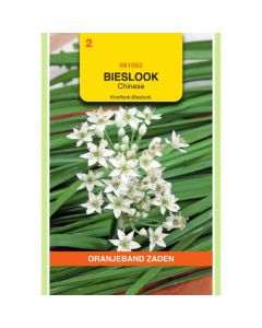 OBZ Bieslook Chinese