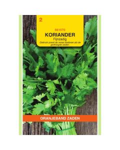 OBZ Koriander