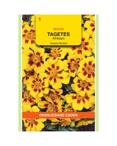 OBZ Tagetes, Afrikaan Naughty Marietta