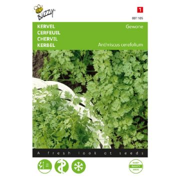 Buzzy® Kervel Gewone