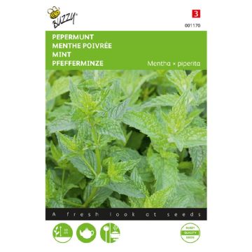 Buzzy® Pepermunt