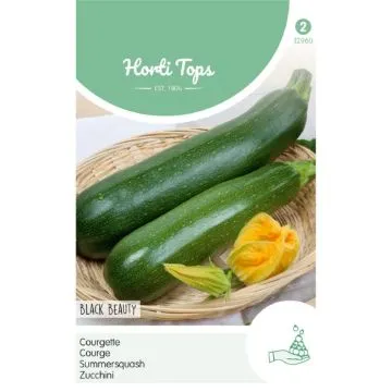 HT Courgette Black Beauty