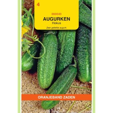 OBZ Augurken Hokus