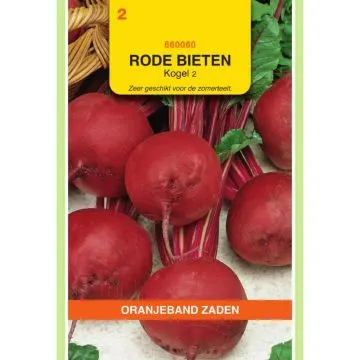 OBZ Rode Bieten Kogel 2