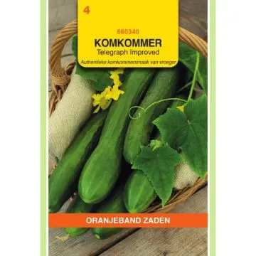 OBZ Komkommer Telegraph Improved