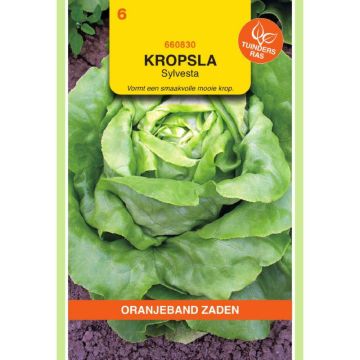 OBZ Kropsla Sylvesta