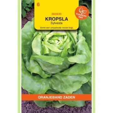 OBZ Kropsla Sylvesta