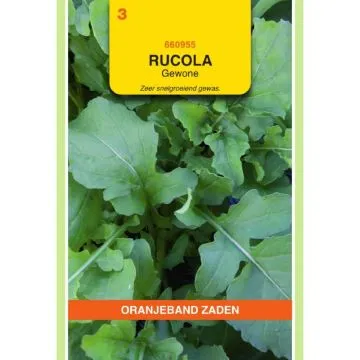 OBZ Rucola Gewone