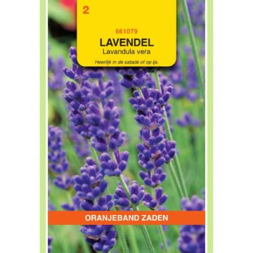 OBZ Lavendel
