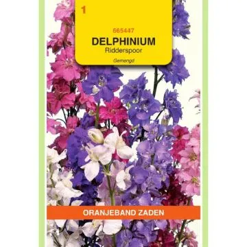 OBZ Delphinium, Ridderspoor gemengd