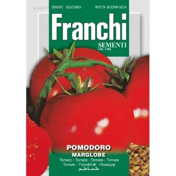 Tomaat, Pomodoro  Marglobe
